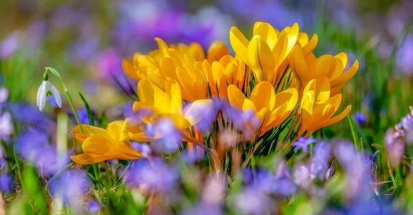 12 березня - яке сьогодні свято, традиції та прикмети цього дня, що сьогодні не можна робити, все про цей день - Новини України