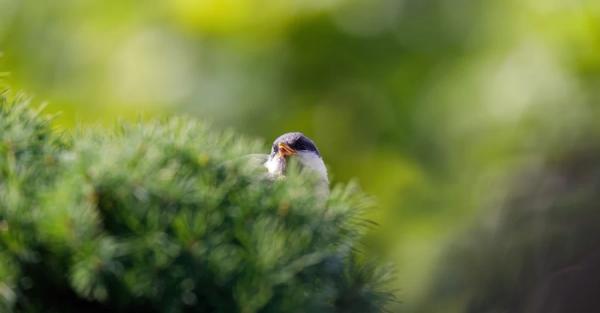 22 березня - яке церквоне свято, традиції та прикмети цього дня, що сьогодні не можна робити - Новини України