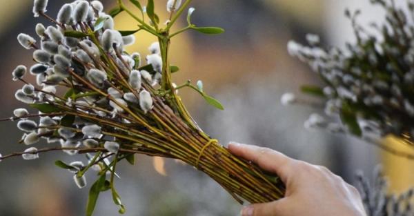 5 квітня - Вербна неділя, що символізує це свято, що сьогодні не можна робити, традиції і прикмети цього дня - Новини України