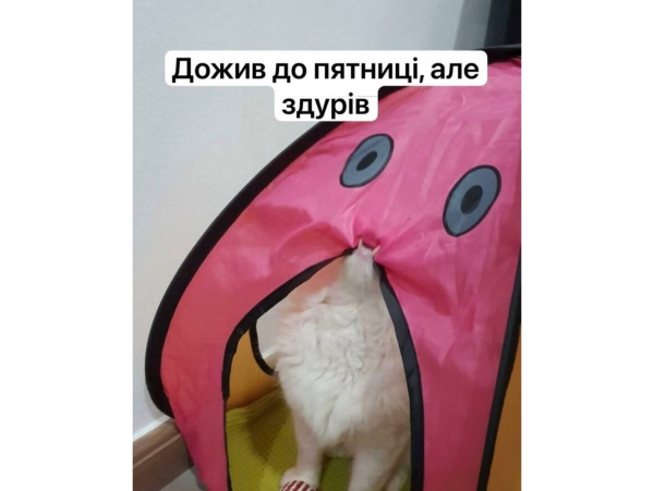 Анекдоти та меми тижня: живемо в моменті &ndash; і цей момент і досі жахливий - Новини України