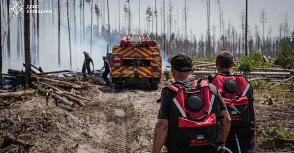 У Чорнобилі тривають пожежі - радіаційний фон в нормі, але якість повітря може погіршитися  - Новини України