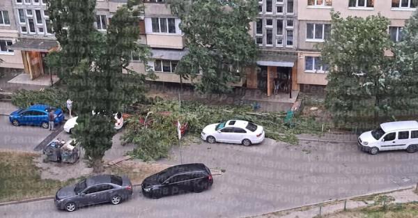 Київ та область наркрила негода - почалися перебої зі світлом, вітер зносить конструкції  - Новини України