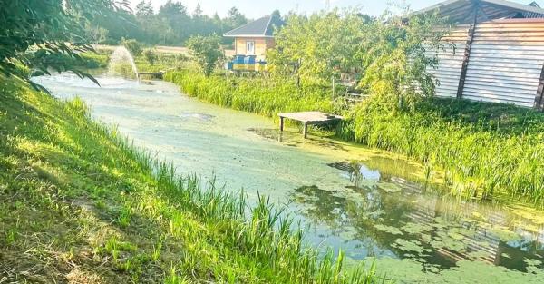 На Рівненщині втопився 2-річний хлопчик, поки мати поралася по господарству - Новини України На Рівненщині втопився 2-річний хлопчик, поки мати поралася по господарству - Новини України