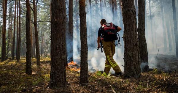 У Чорнобильській зоні знову спалахнула сильна пожежа - загрози раціонації поки що немає - Новини України