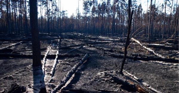 У Чорнобильській зоні загасили всі осередки пожеж після атаки дронів РФ - Новини України