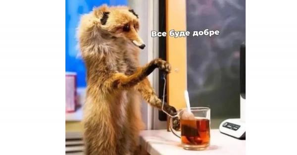 Анекдоти та меми тижня: втеча генпрокурора, корупція в Україні і ні дня без обстрілів - Новини України