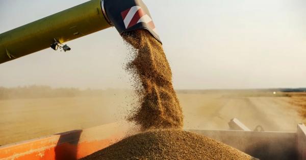 Узаконений рекет: як сфальсифіковані справи проти Червоного землероба перетворюються на загрозу для держави - Новини України Узаконений рекет: як сфальсифіковані справи проти Червоного землероба перетворюються на загрозу для держави - Новини України