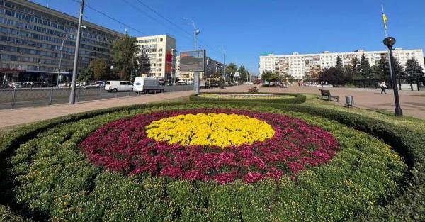 Київ прикрасили тисячами хризантем - у столиці стартував сезон квітів - Новини України