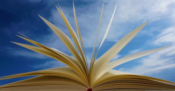Книжкова блогерка Гонченко знайшла купу піратських книжок на новому маркетплейсі Укрпошти - Новини України Книжкова блогерка Гонченко знайшла купу піратських книжок на новому маркетплейсі Укрпошти - Новини України