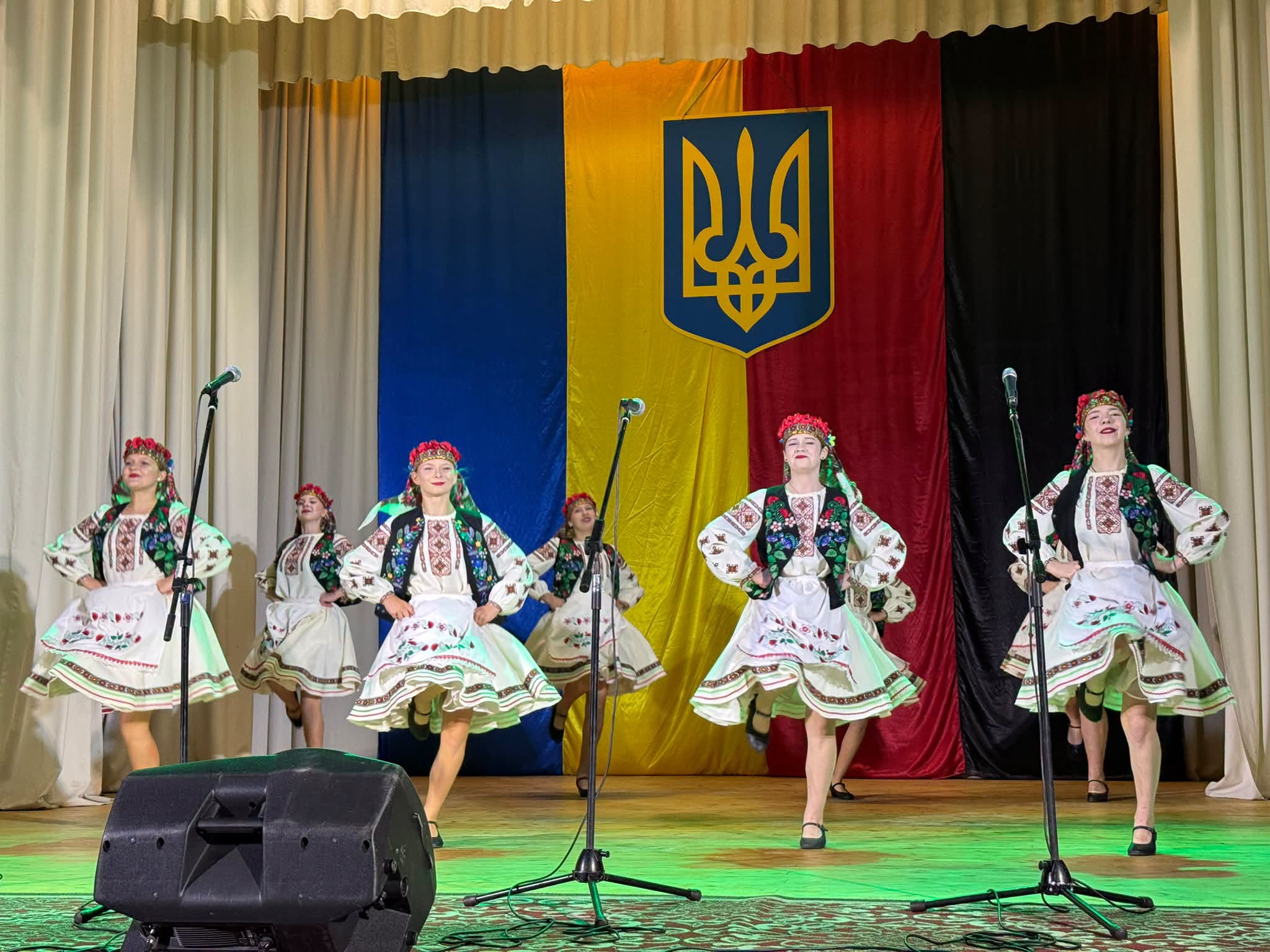 Танцювальний колектив під час виступу